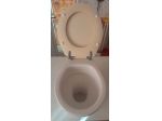 Water con coprivaso Vaso WC a Parete pozzi Ginori completo di tavoletta Friges