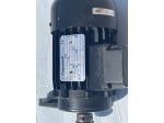 CARPANELLI M63c4 Motore asincrono trifase KW 0,22