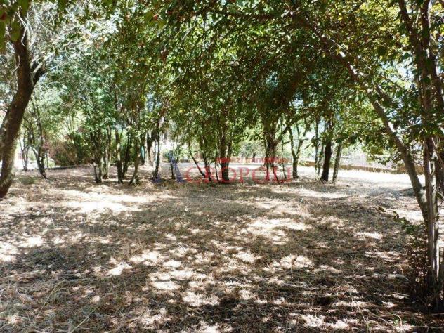 VILLA UNIFAMILIARE ANGUILLARA-CENTRO - VIA COLLE BIADARO - Foto 5