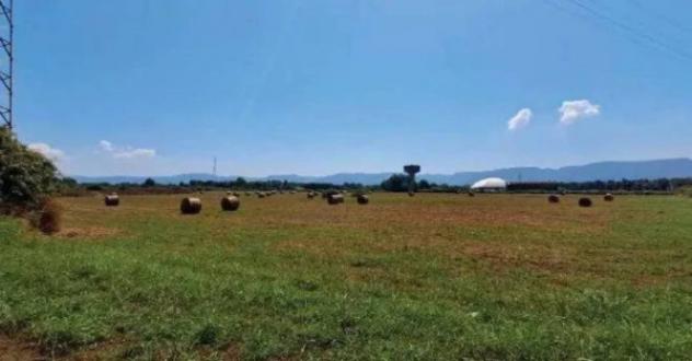 Immobile in asta di 403360 m² in vendita a Cittanova - Foto 9