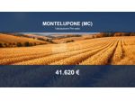 Immobile in asta di 24660 m² in vendita a Montelupone