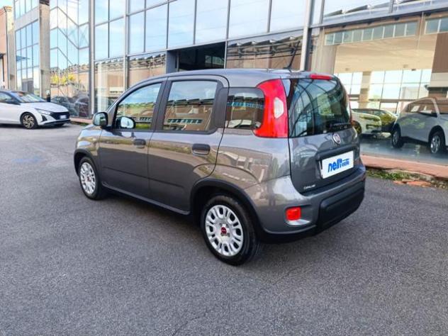 FIAT Panda 1.0 FireFly S&S Hybrid rif. 23911198 - Foto 5