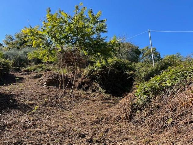 Casale in vendita a Pieve di Compito - Capannori 250 mq Rif: 1351983 - Foto 3