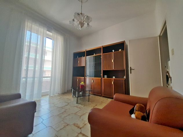 VG44 - Foto 3