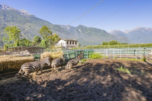 Si propone tenuta adibita ad allevamento per trasferimento attività - Foto 8