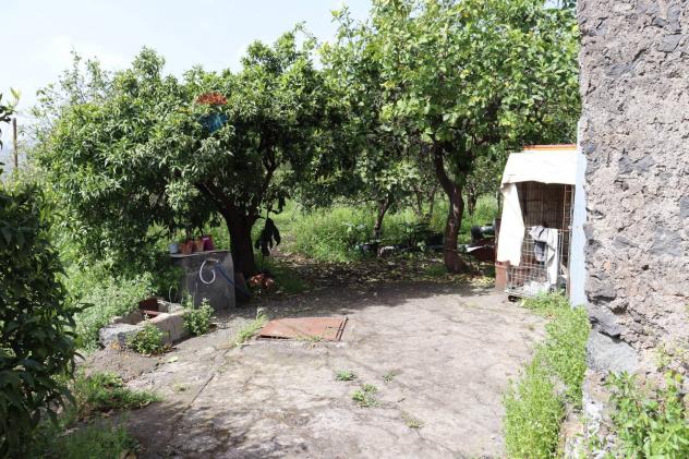 Terreno in vendita a Fiumefreddo di Sicilia - Foto 8