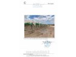AZIENDE-ALTRA CATEGORIA-Contrada Leva, 95040 Mazzarrone CT, Italia