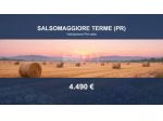 Immobile in asta di 5550 m² in vendita a Salsomaggiore Terme