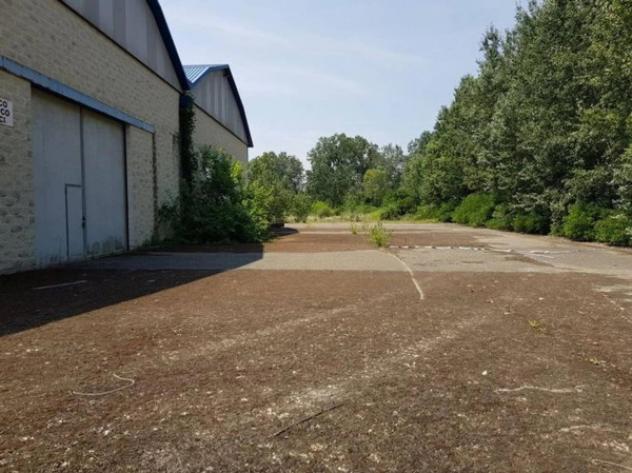 Immobile in asta di 3595 m² in vendita a Alta Val Tidone - Foto 11