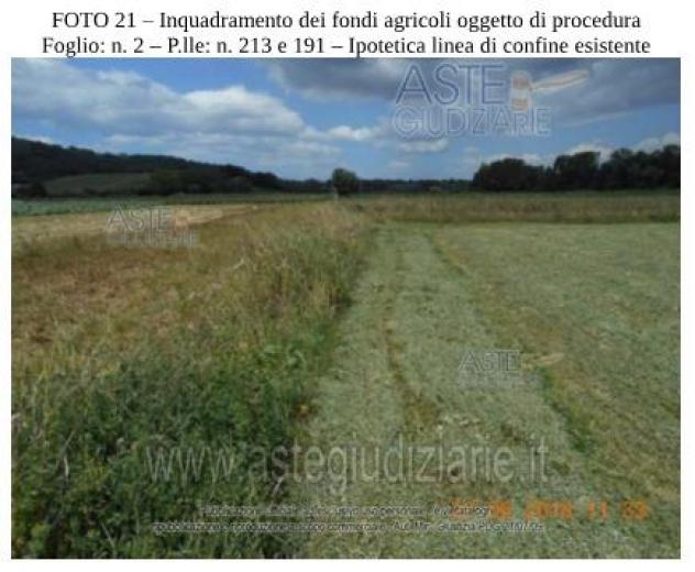 IMMOBILI-ALTRA CATEGORIA-Contrada Cerrocupo - Foto 4