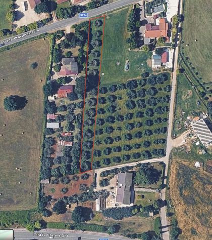 TERRENO CON ULIVI IN VENDITA A CIVITA CASTELLANA - Foto 2