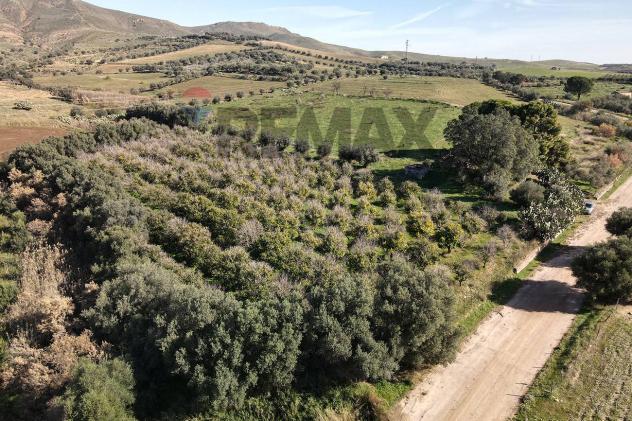 Terreno in vendita a Paternò - Foto 4