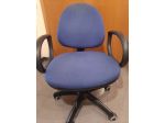 sedia da scrivania  con ruote