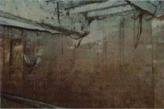 Immobile in asta di 626 m² in vendita a Moglia - Foto 18