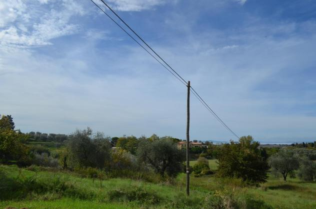 Villa in vendita a Montalcino - Foto 6