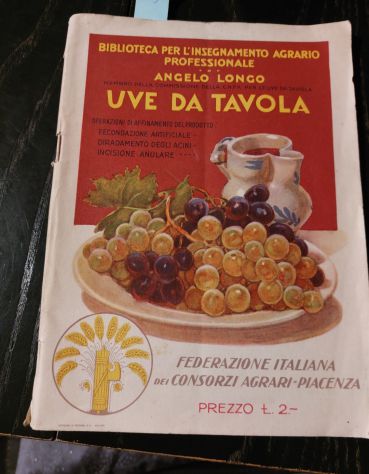 Longo, le uve da tavola , operazioni di affinamento del prodotto, 1930óó