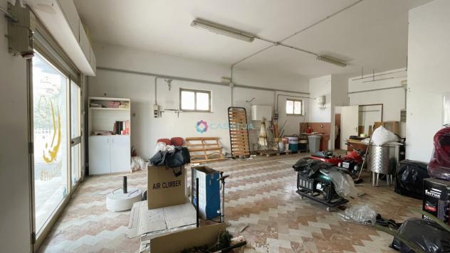 1 Vetrina in vendita a Pineto - Foto 6