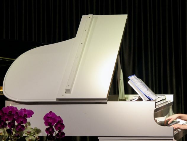 Pianista a Reggio