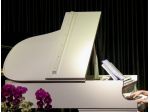 Pianista a Reggio