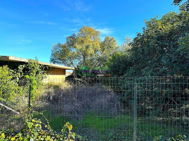 Rif. 9795 - Rustico residenziale c.da Serra Garofalo - Foto 3