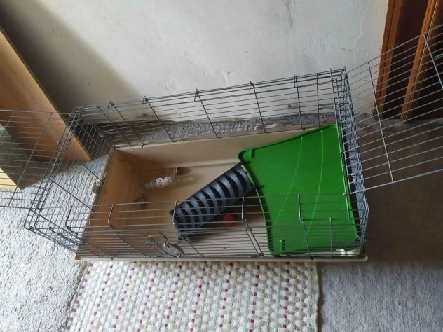 GABBIA PER CONIGLIETTO O CAVIA - Foto 2