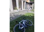 Colnago