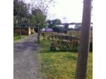 Il Frantoio Camping S.r.l.