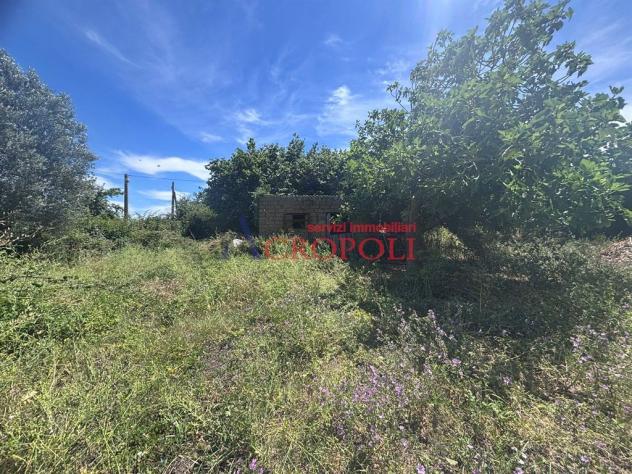 Terreno Agricolo - Rif. 2672 - Foto 2