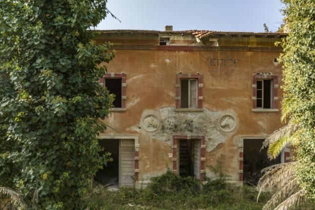 Casale in vendita a Castagneto Carducci - Foto 14