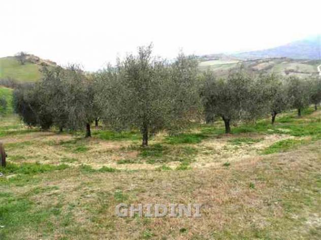 RUSTICO di 3 vani e di 65 mq (CINIGIANO - VICINANZE DEL PAESE) rif. 1988.65M - Foto 14
