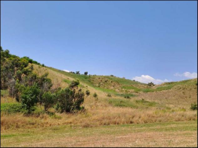 Immobile in asta di 35400 m² in vendita a Crotone - Foto 7