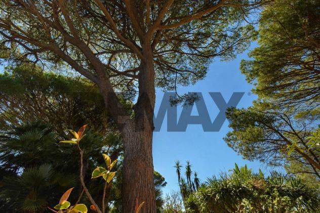 Cascina/Casale in vendita a Messina, Castanea Massa Tono Ortoliuzzo - Foto 19