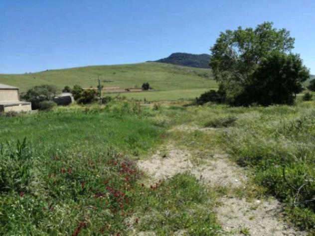 Immobile in asta di 12050 m² in vendita a Prizzi - Foto 2