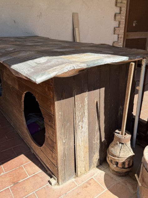Cuccia per cani grande in legno – da sistemare – quasi gratis - Foto 2