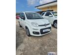 FIAT - Panda - 1.3 MJT 95 CV S&S Easy