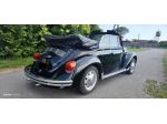 Volkswagen Maggiolino CABRIO o COUPE'