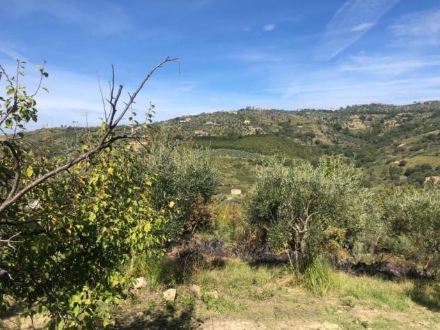 Agricolo in Via Frascinelle - Foto 14