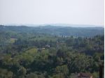 Terreno agricolo in vendita a San Miniato 2270 mq  Rif: 226289