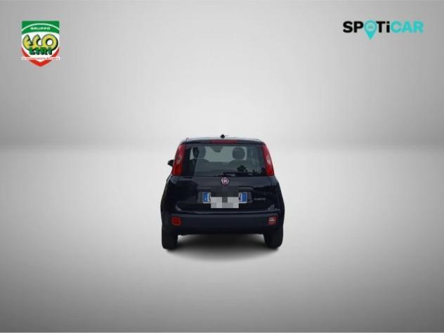 FIAT Panda 1.0 FireFly S&S Hybrid+GPL rif. 24175603 - Foto 6