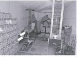 R.G.E. 288/2023 Pavia