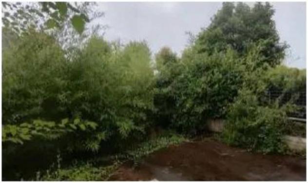 Immobile in asta di 96 m², box auto in vendita a San Biagio di Callalta - Foto 15