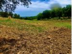 Agricolo in vendita a Jesi