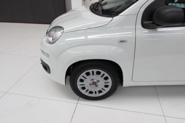 FIAT Panda 1.0 FireFly 70cv S&S Hybrid Easy rif. 23795594 - Foto 5