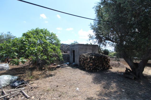 TERRENO CON TRULLO C.DA NEVIERA SAN MARZANO DI SAN GIUSEPPE - Foto 2