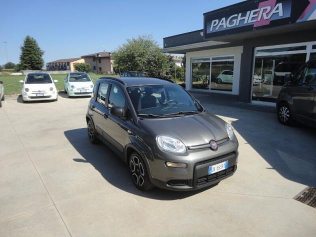 FIAT Panda 3ª serie Panda 1.0 FireFly S&S Hybrid City Life