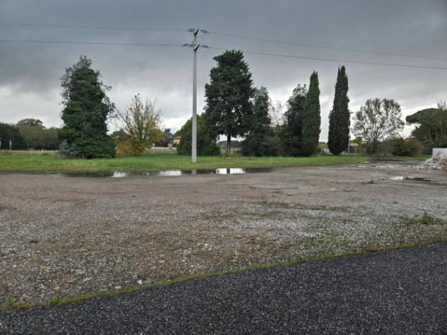 Immobile in asta di 7600 m² in vendita a Crespina e Lorenzana - Foto 10