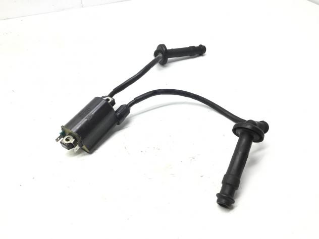 HONDA HORNET 600 BOBINA ACCENSIONE COMPLETA CAVI E PIPETTE 2002 PC36A02F