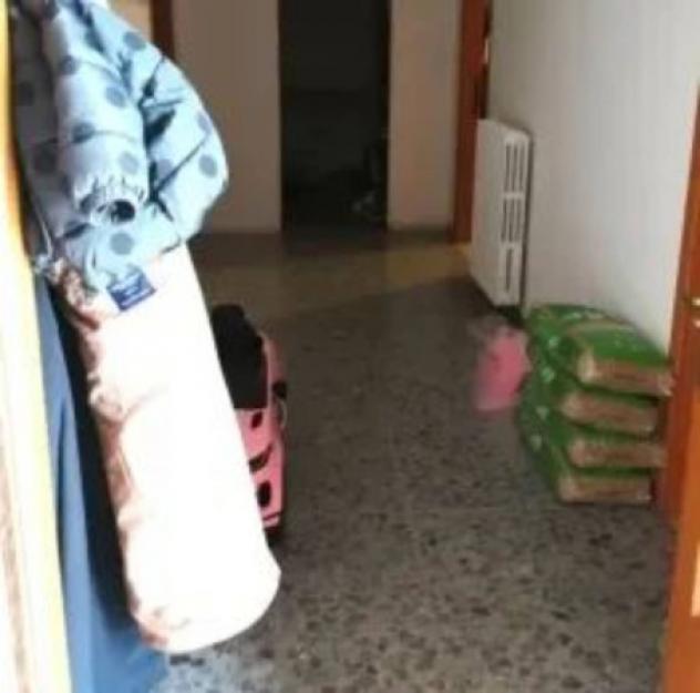 Immobile in asta di 44549 m² in vendita a Pianella - Foto 7