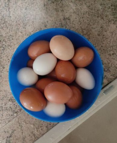 uova  genuine   ova uvi etcc.  fresche del mio pollaio