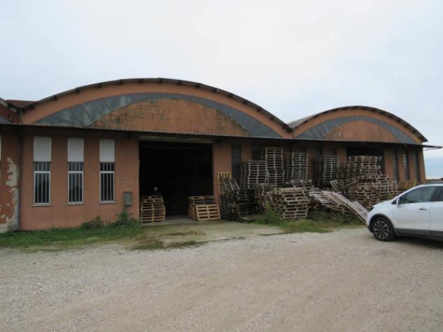 Immobile in asta di 2316 m² in vendita a Boschi Sant'Anna - Foto 2